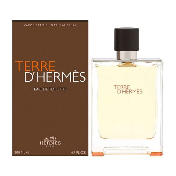 Terre D'hermes by Hermes Eau de Toilette EDT Spray for Men 6.7 oz New Tester - Picture 2 of 2